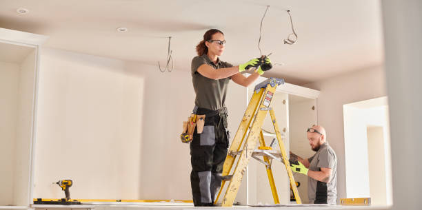 Best Industrial Electrical Services  in Lakefield, MN